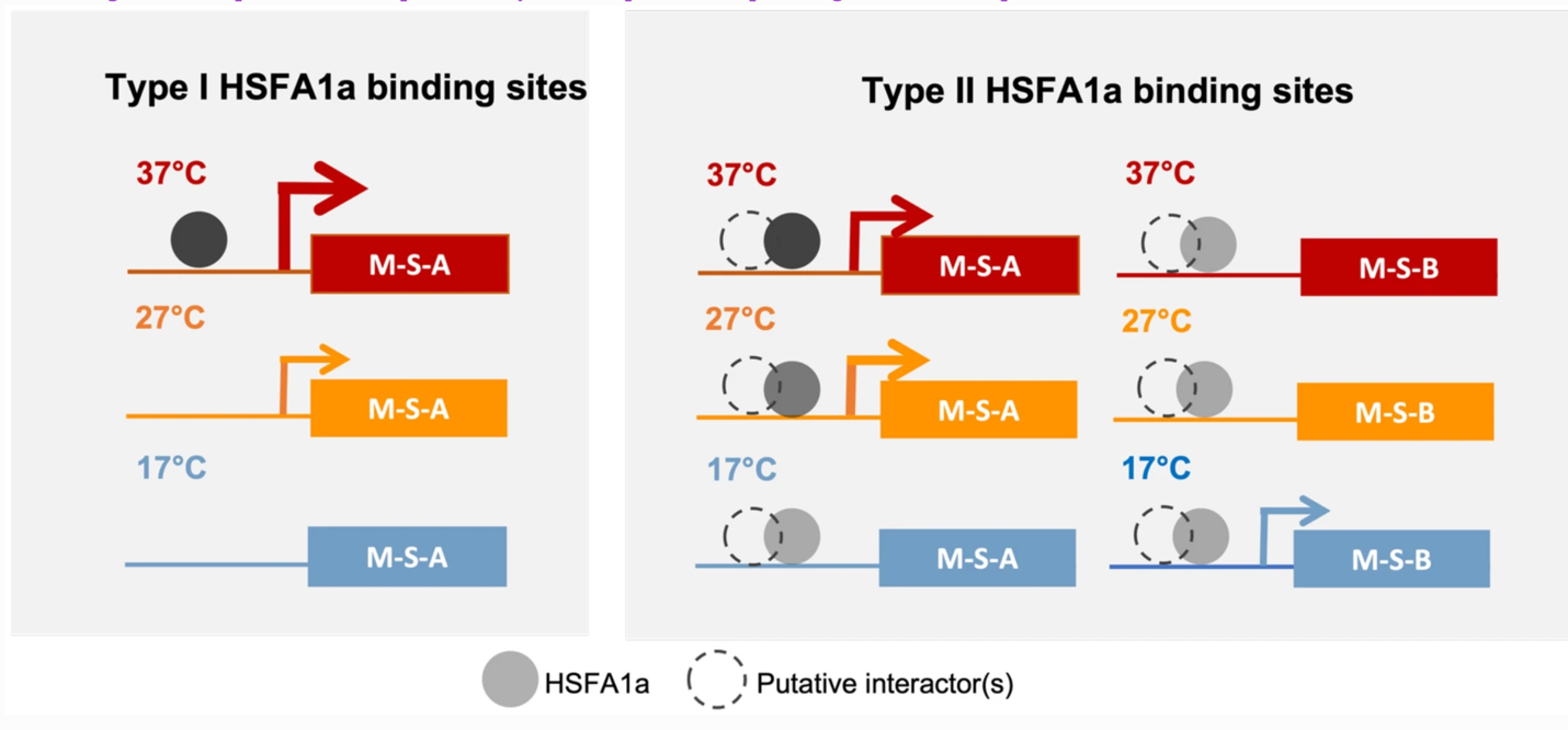 Large-scale comparative transcriptomic analysis of temperature ...