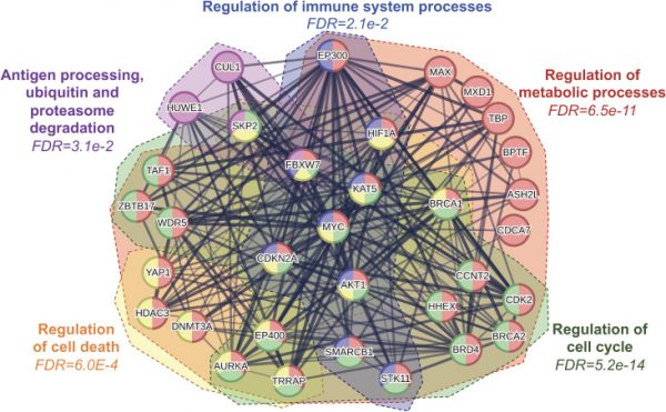 Targeting MYC at the intersection between cancer metabolism and ...